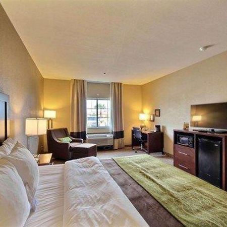 Comfort Inn Edinburg South Εξωτερικό φωτογραφία