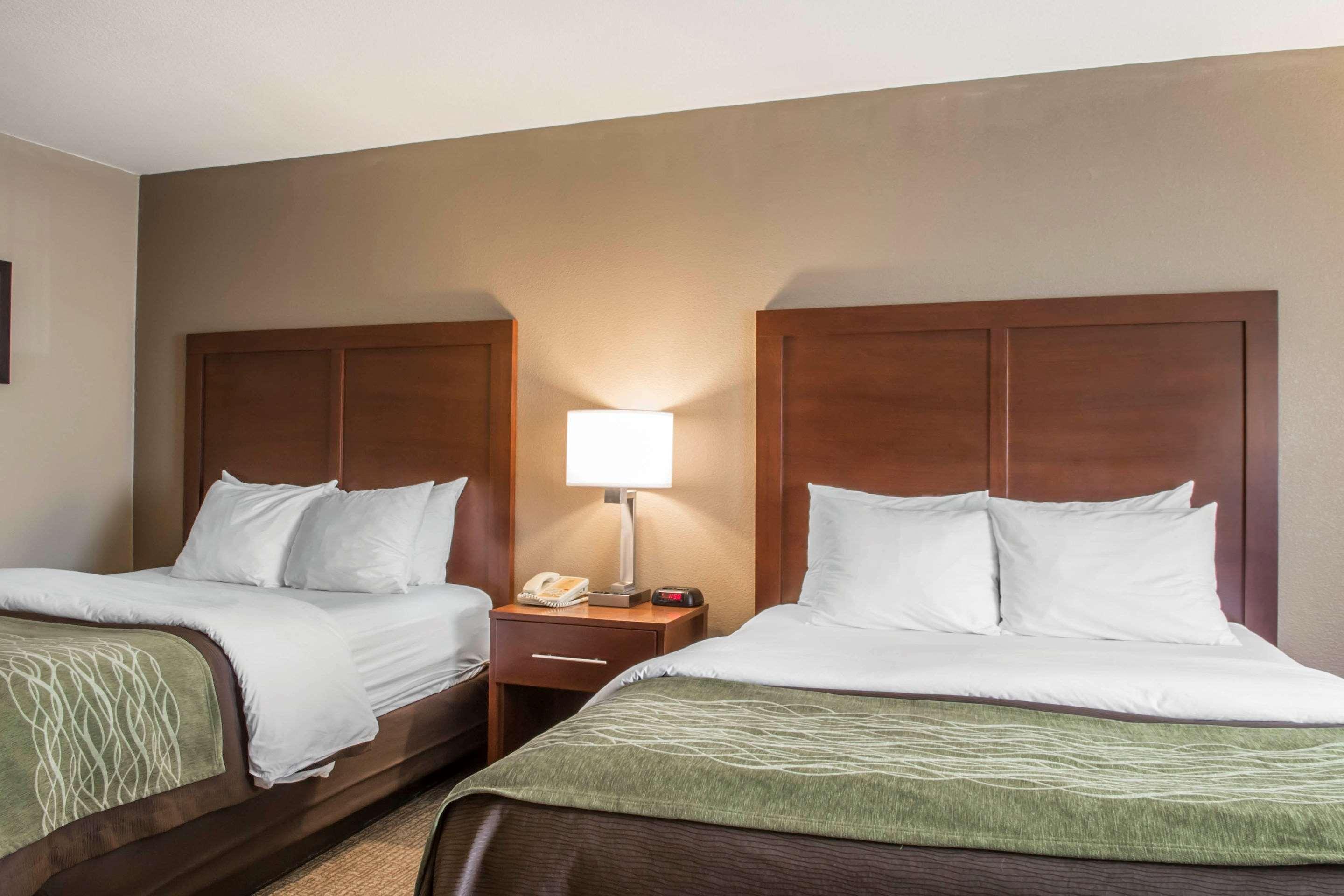 Comfort Inn Edinburg South Εξωτερικό φωτογραφία