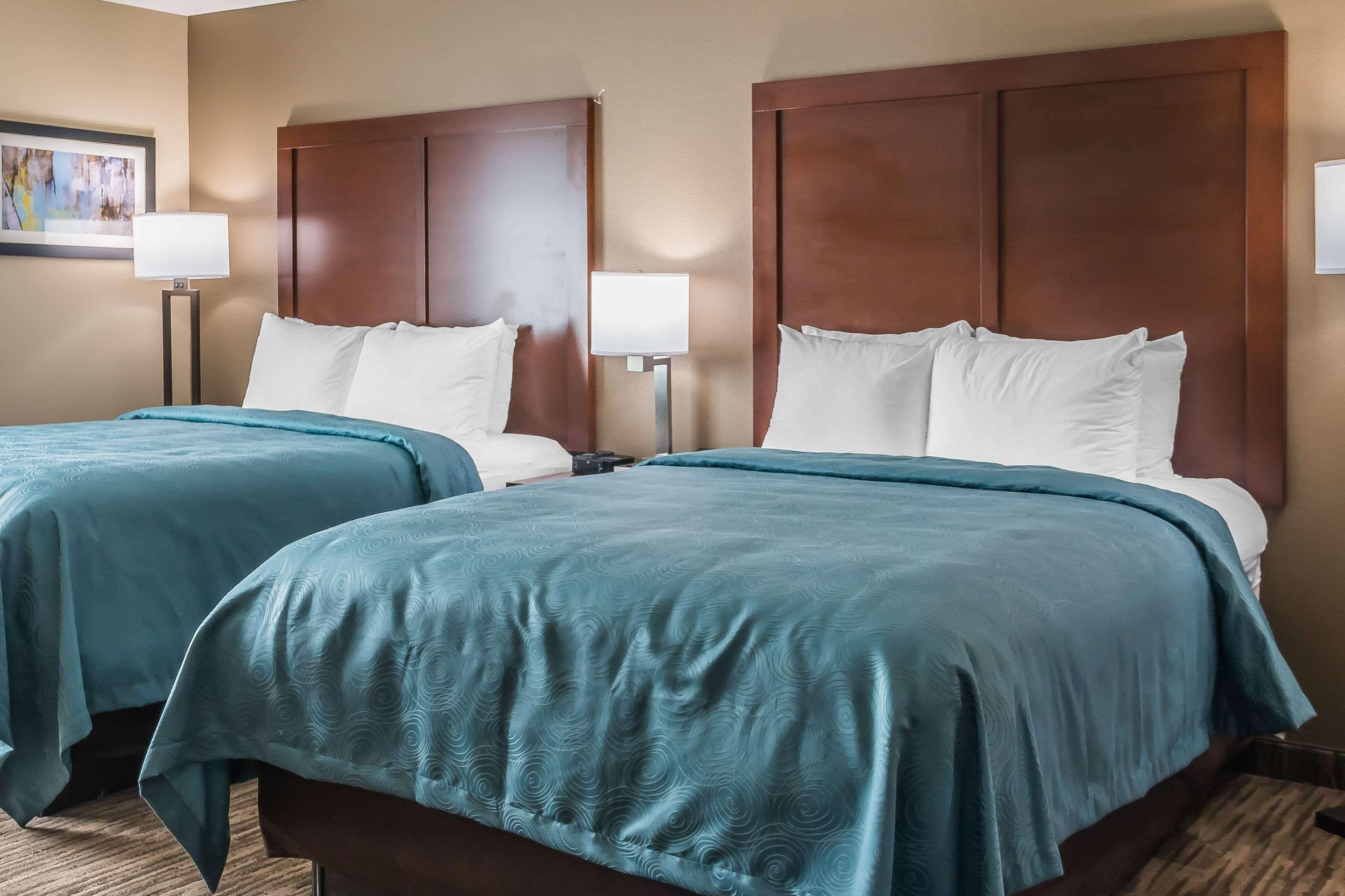 Comfort Inn Edinburg South Εξωτερικό φωτογραφία
