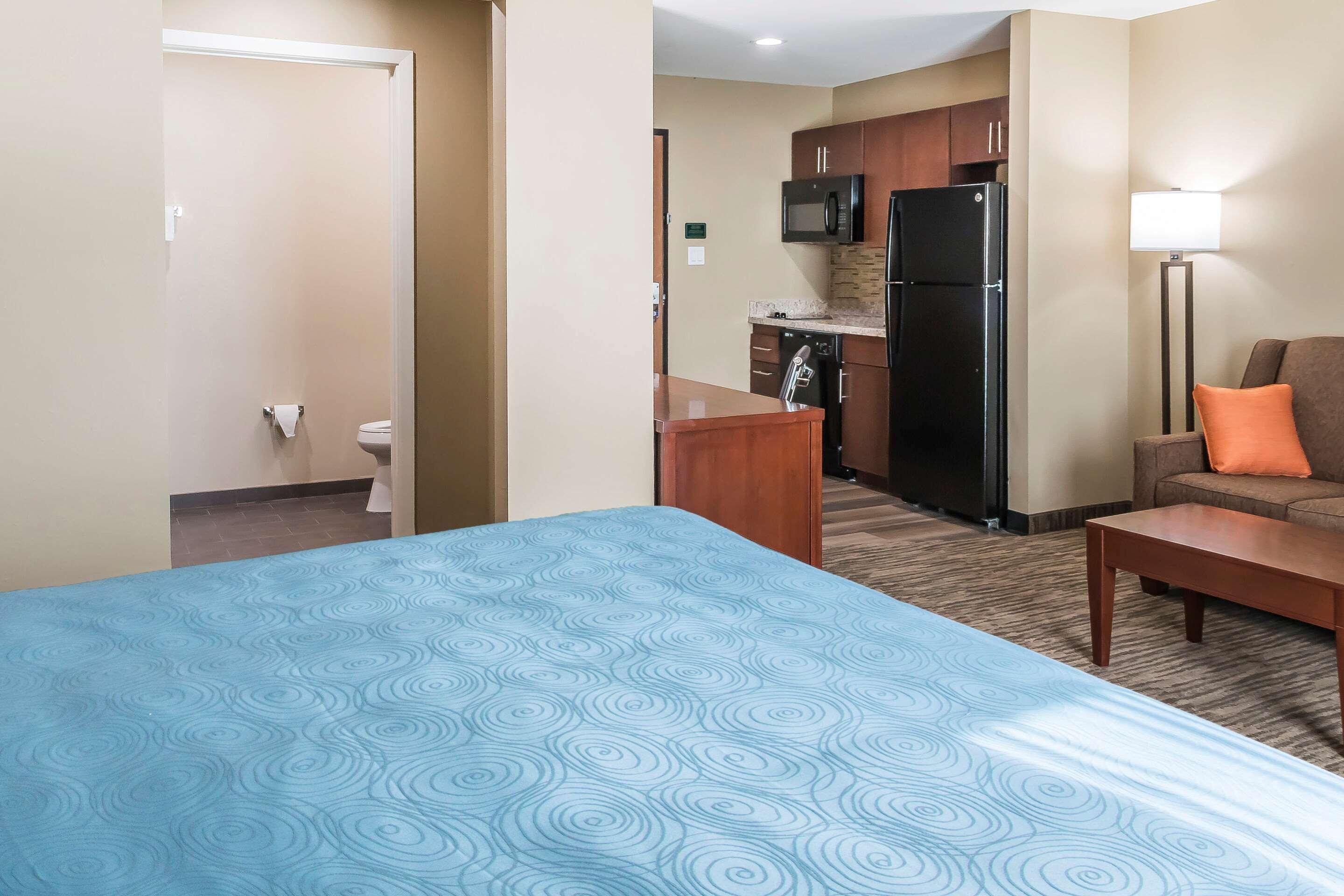 Comfort Inn Edinburg South Εξωτερικό φωτογραφία